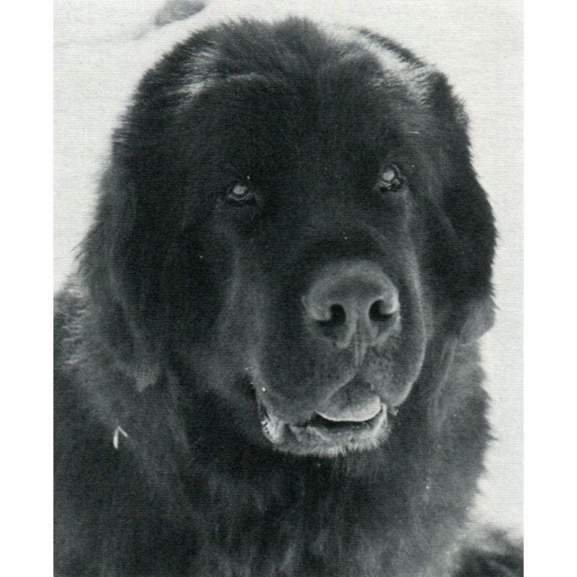 R Ebunyzars Poo Bear (27-07-1982)